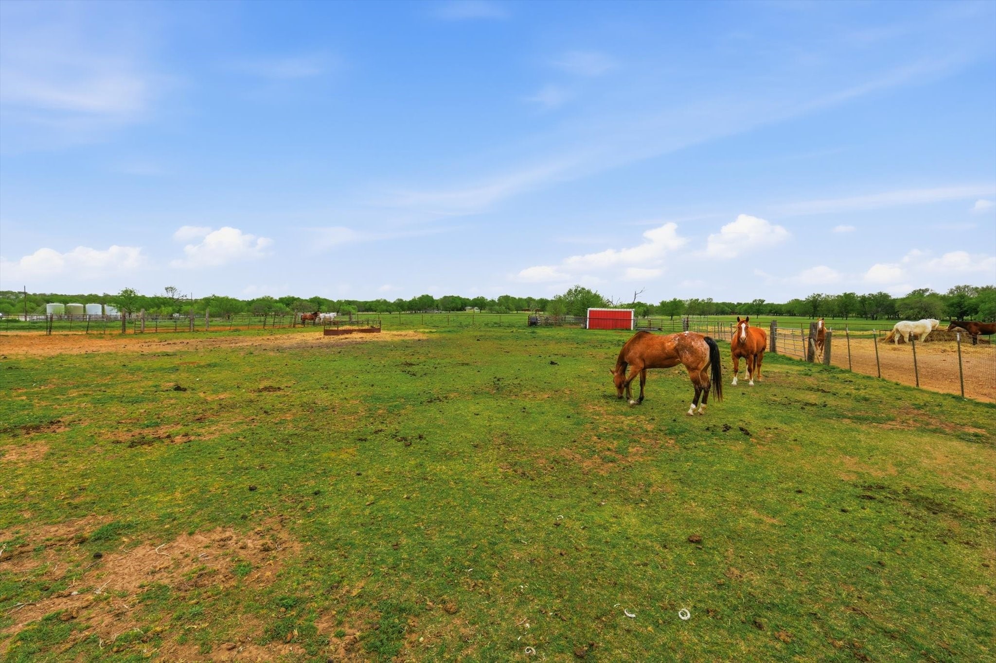 10965 Swafford Road Justin TX 76247