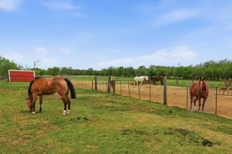 10965 Swafford Road Justin TX 76247