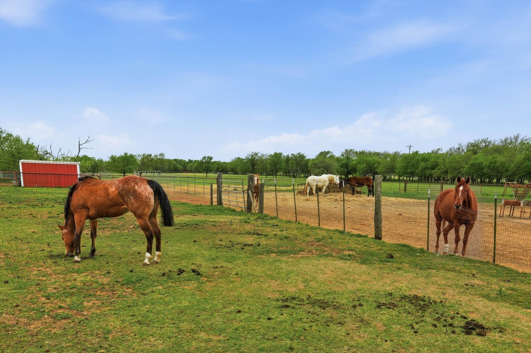 10965 Swafford Road Justin TX 76247