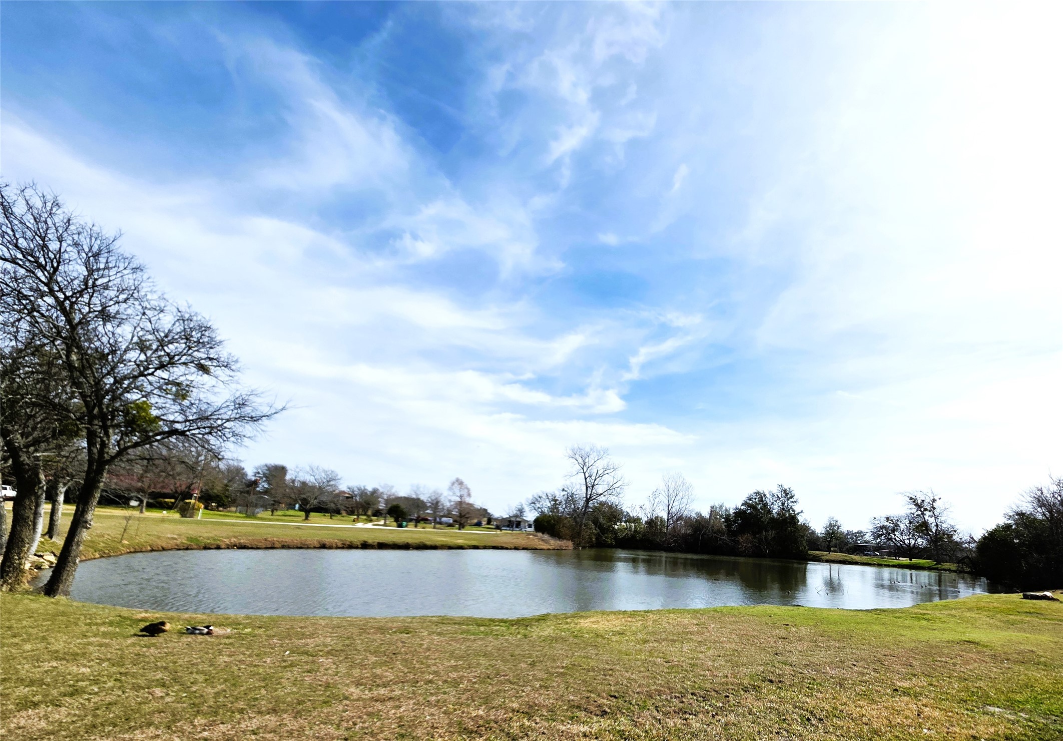 107 Quail Lake Drive W Whitney TX 76692