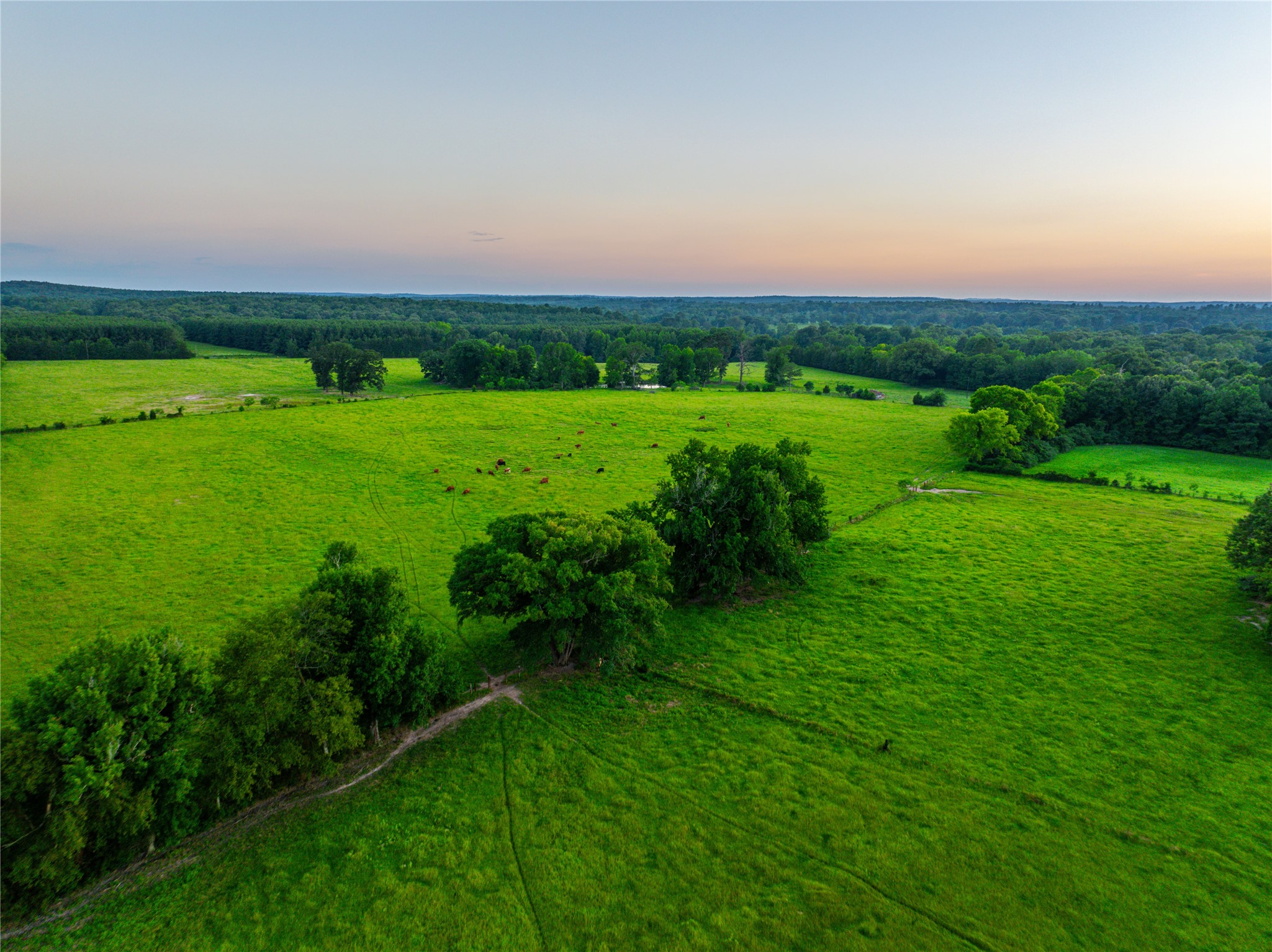7369 Farm To Market Road 999 No City TX 75975