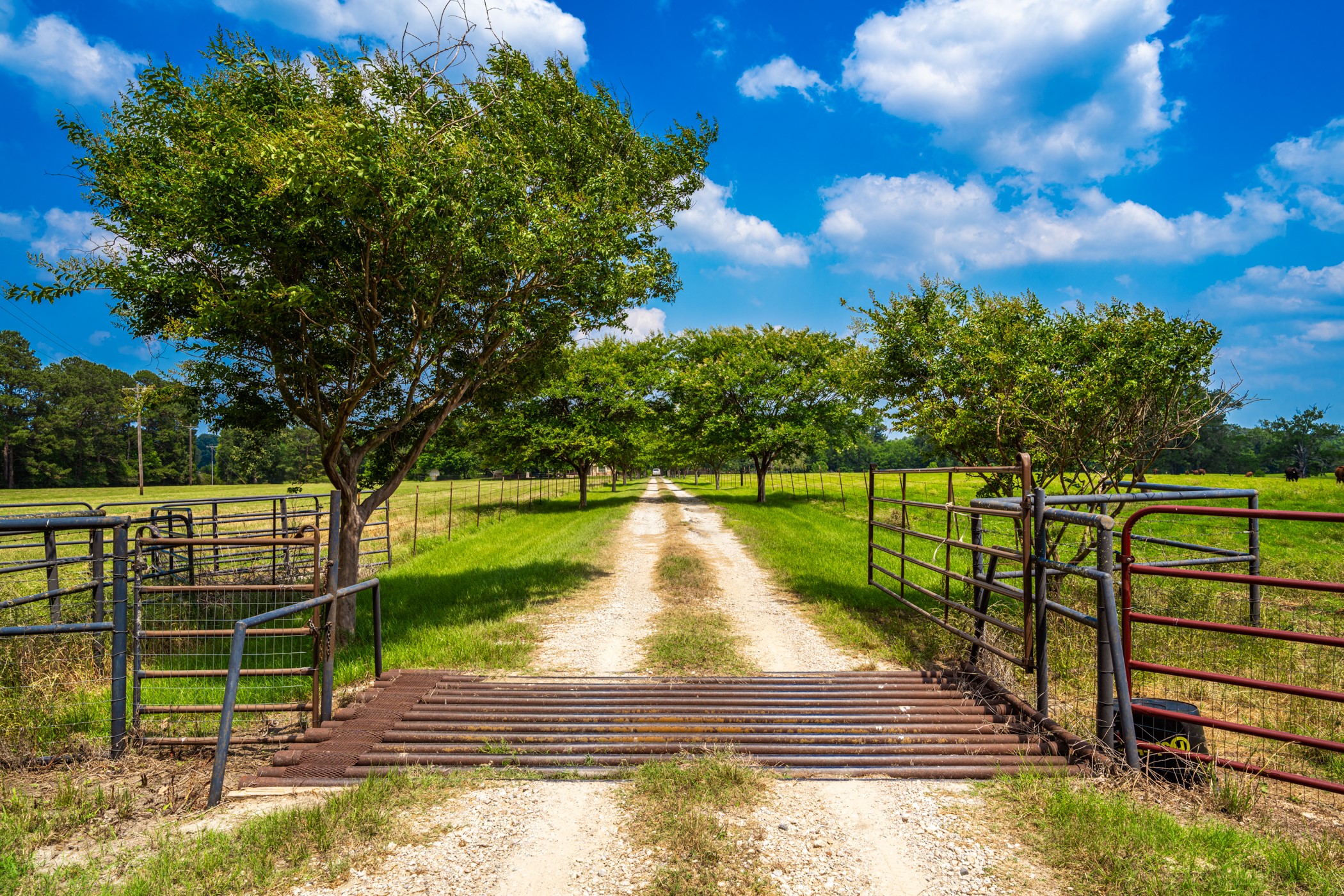 7369 Farm To Market Road 999 No City TX 75975