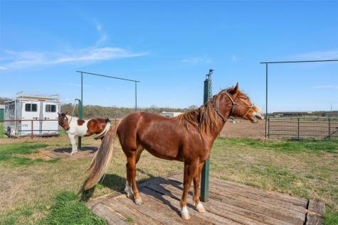 399 Satin Road Chilton TX 76632