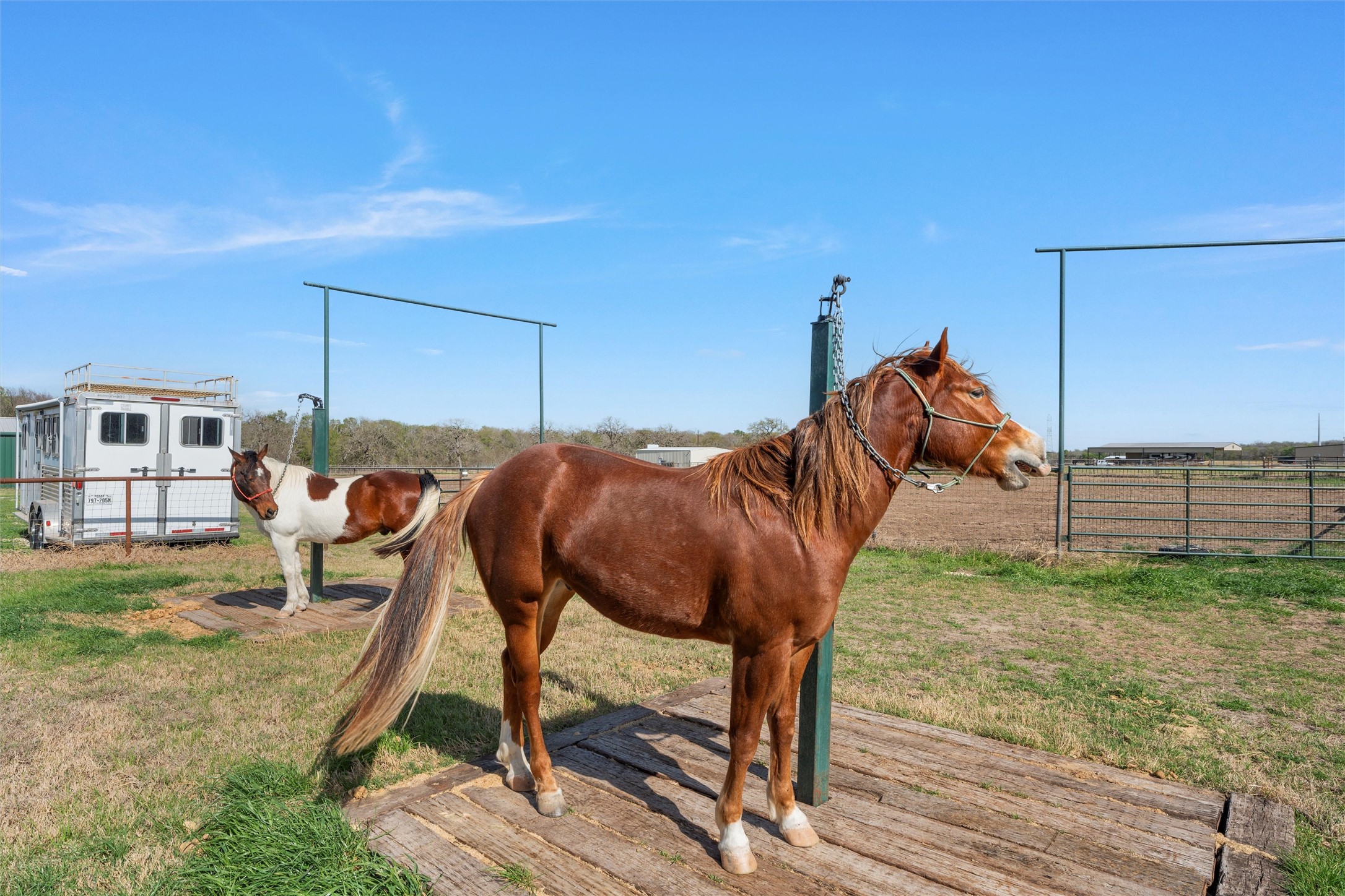 399 Satin Road Chilton TX 76632