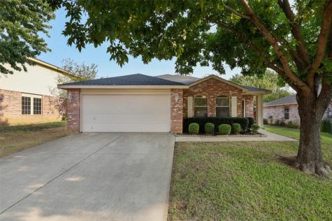 909 Anvil Creek Drive Arlington TX 76001