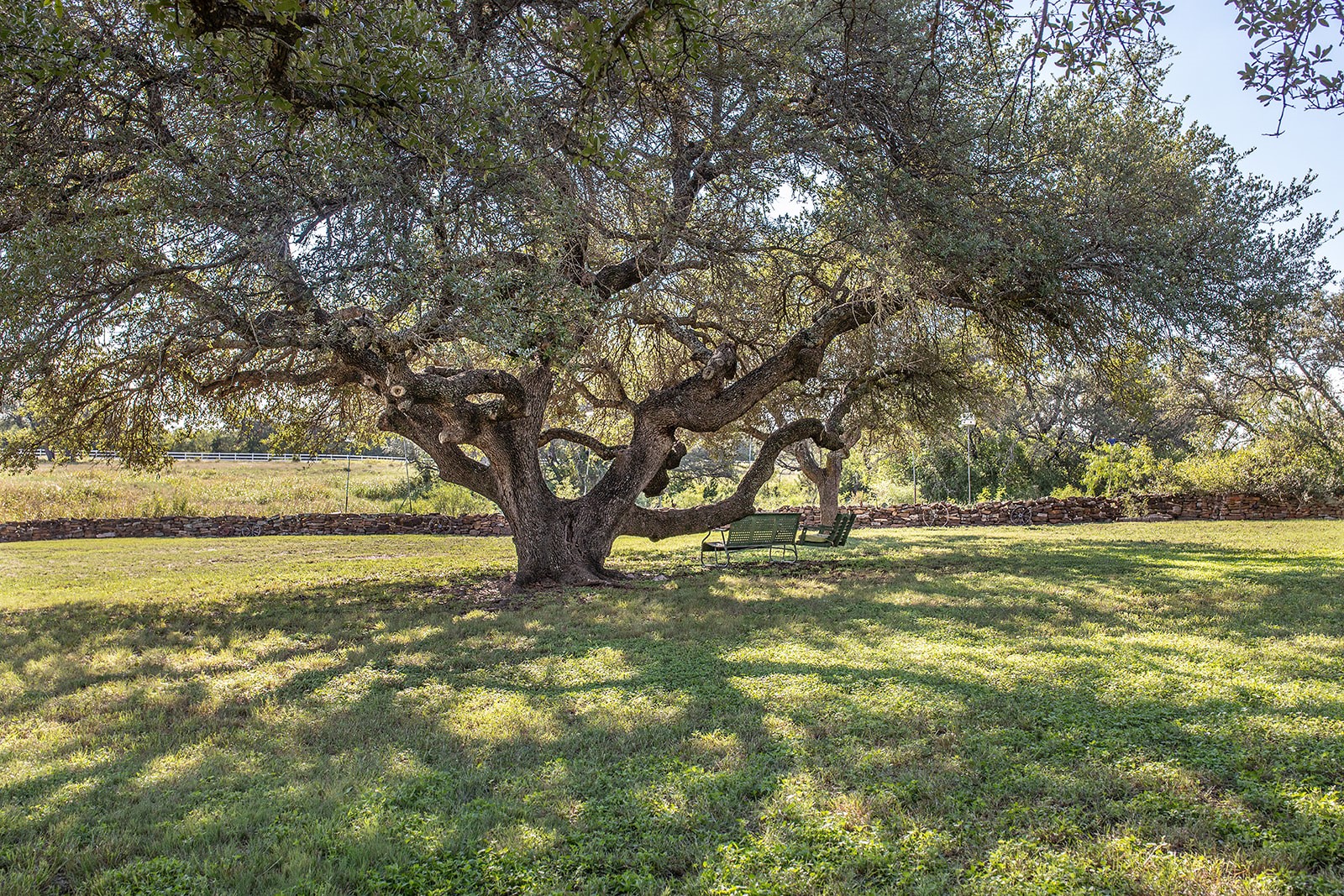 2992 County Road 100 Brady TX 76825