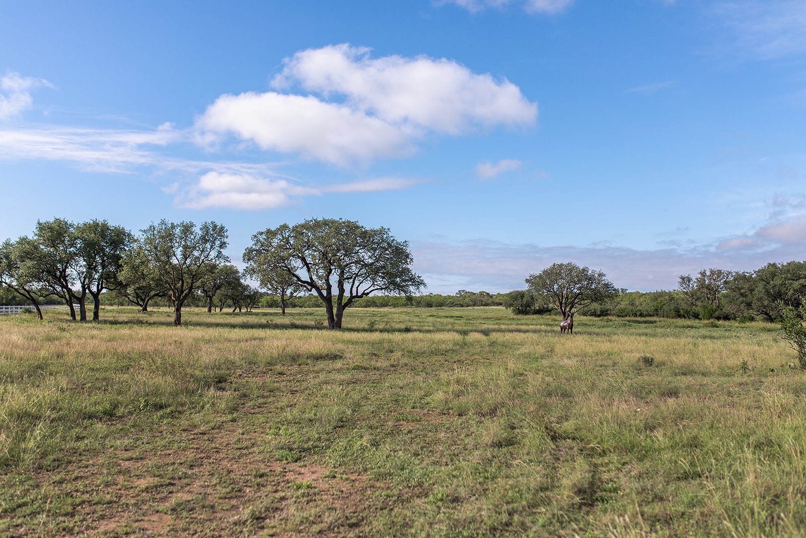 2992 County Road 100 Brady TX 76825