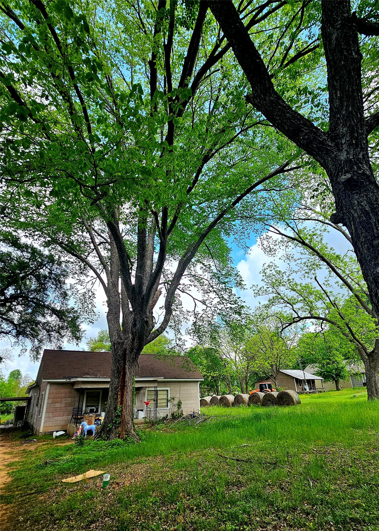 200 Jay Street Trinidad TX 75163
