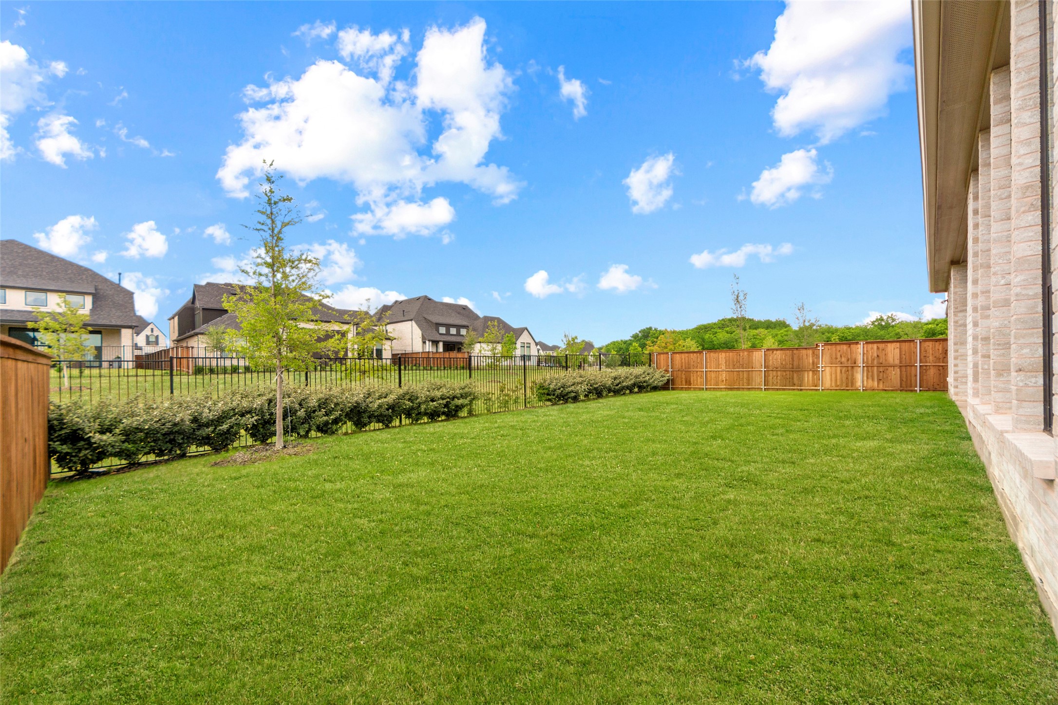 14736 Gerbera Daisy Road Frisco TX 75035