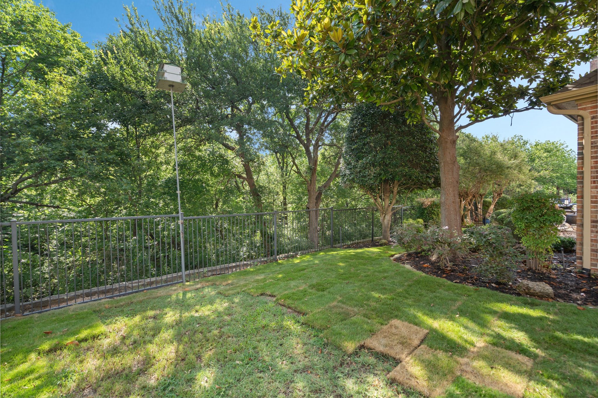 504 Rainforest Lane Allen TX 75013