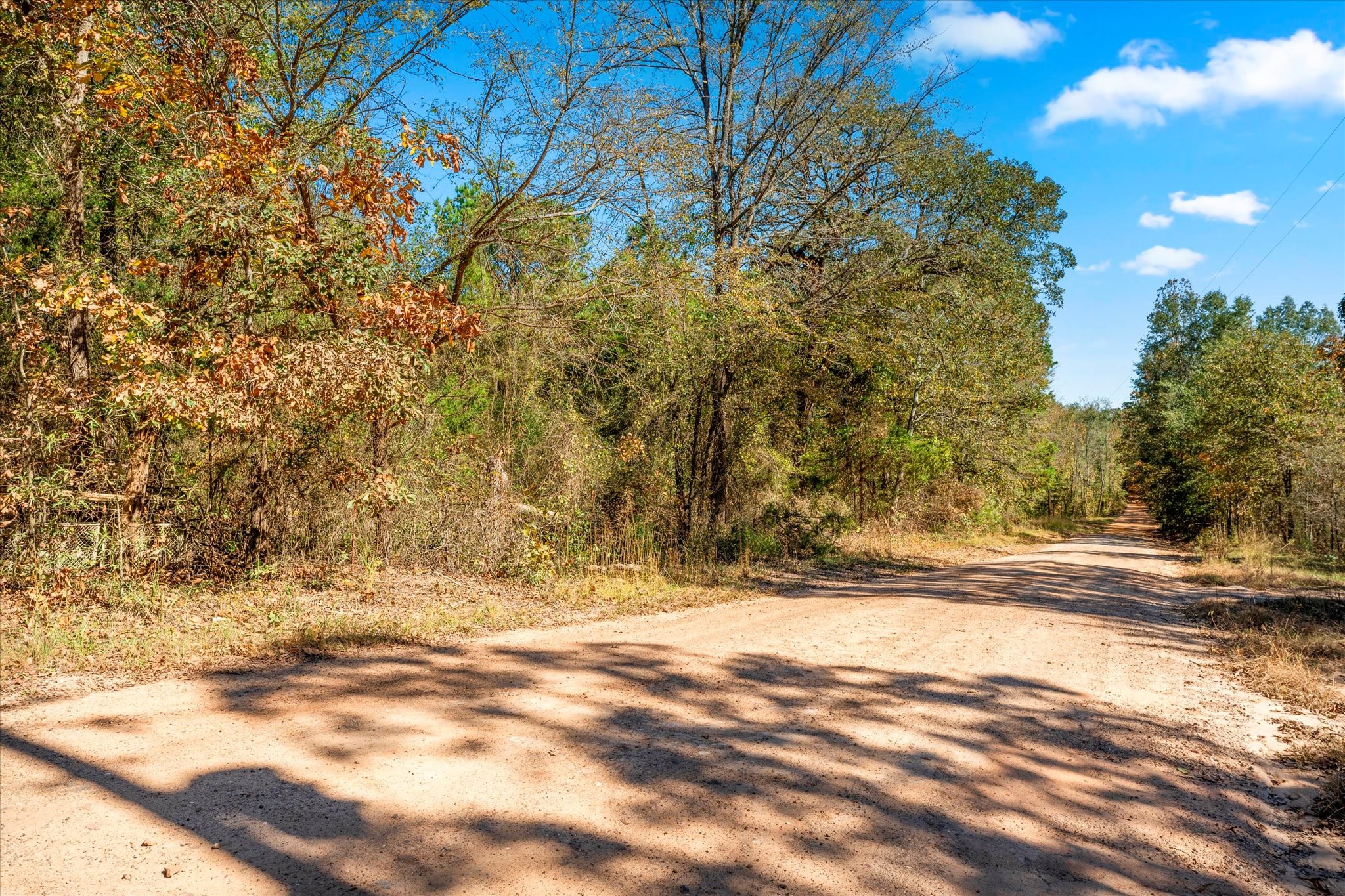 170 Pr 52423 Leesburg TX 75451
