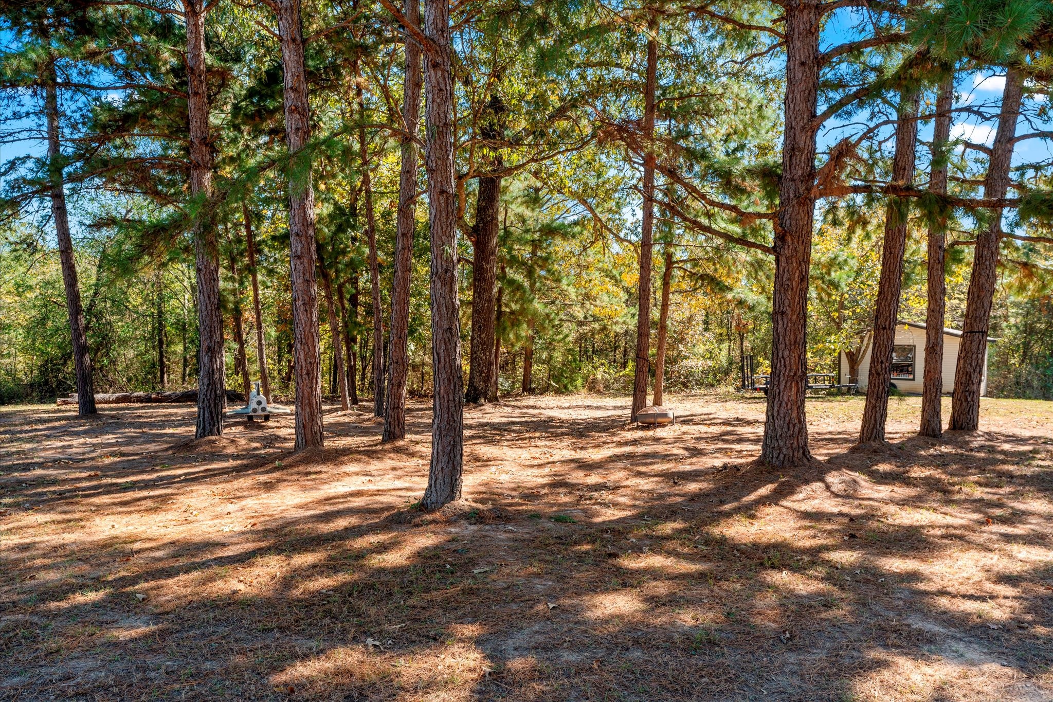 170 Pr 52423 Leesburg TX 75451