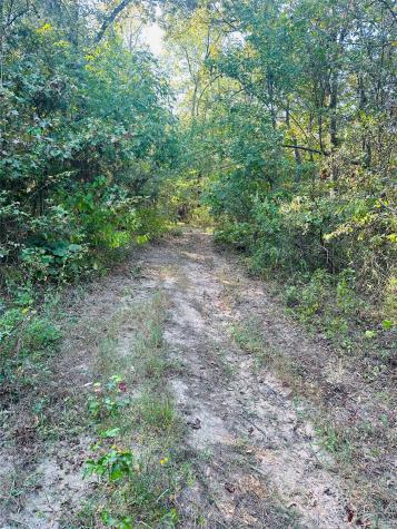 637 County Road 4420 Winnsboro TX 75494