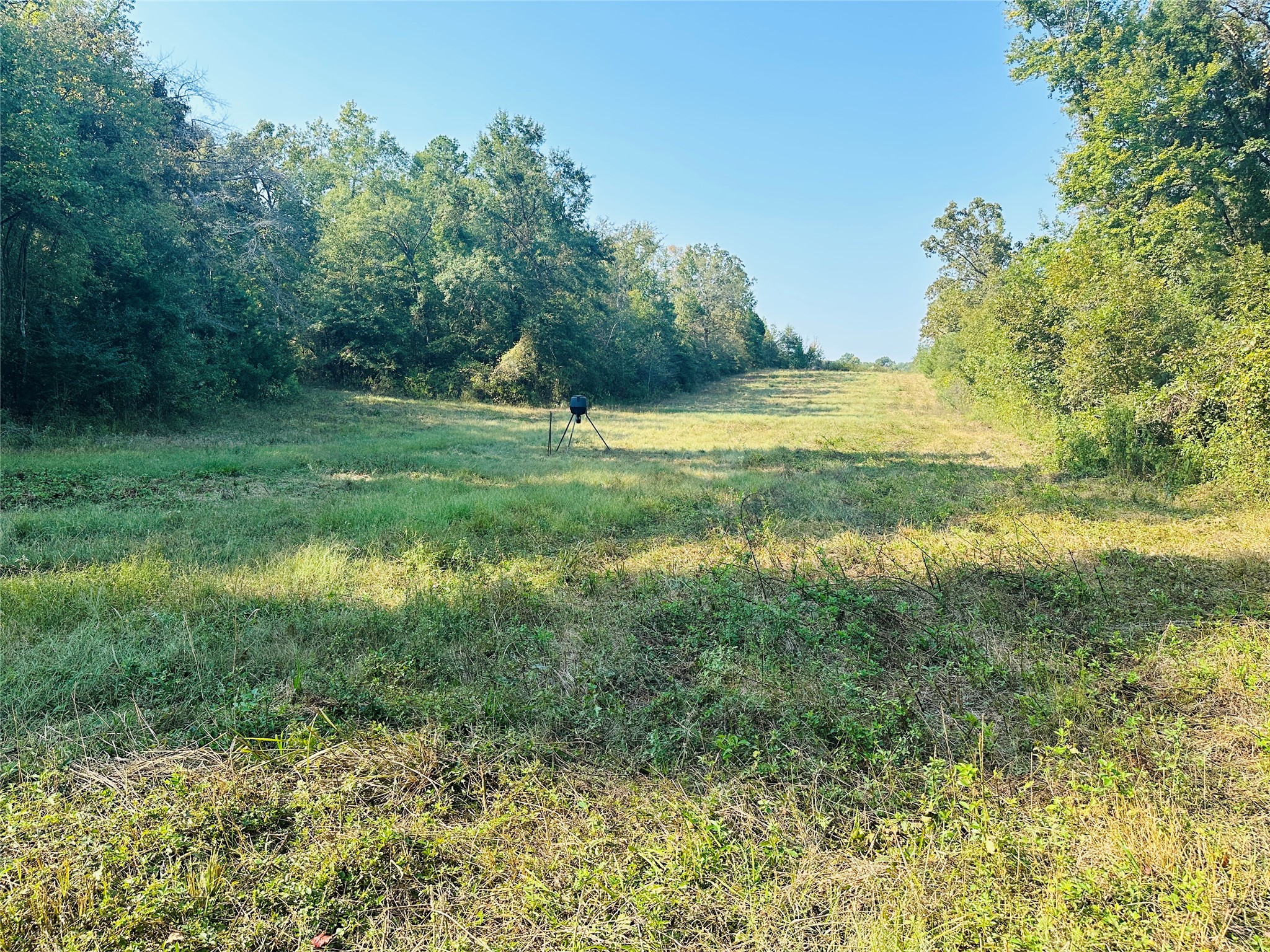 637 County Road 4420 Winnsboro TX 75494