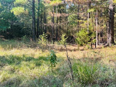 637 County Road 4420 Winnsboro TX 75494