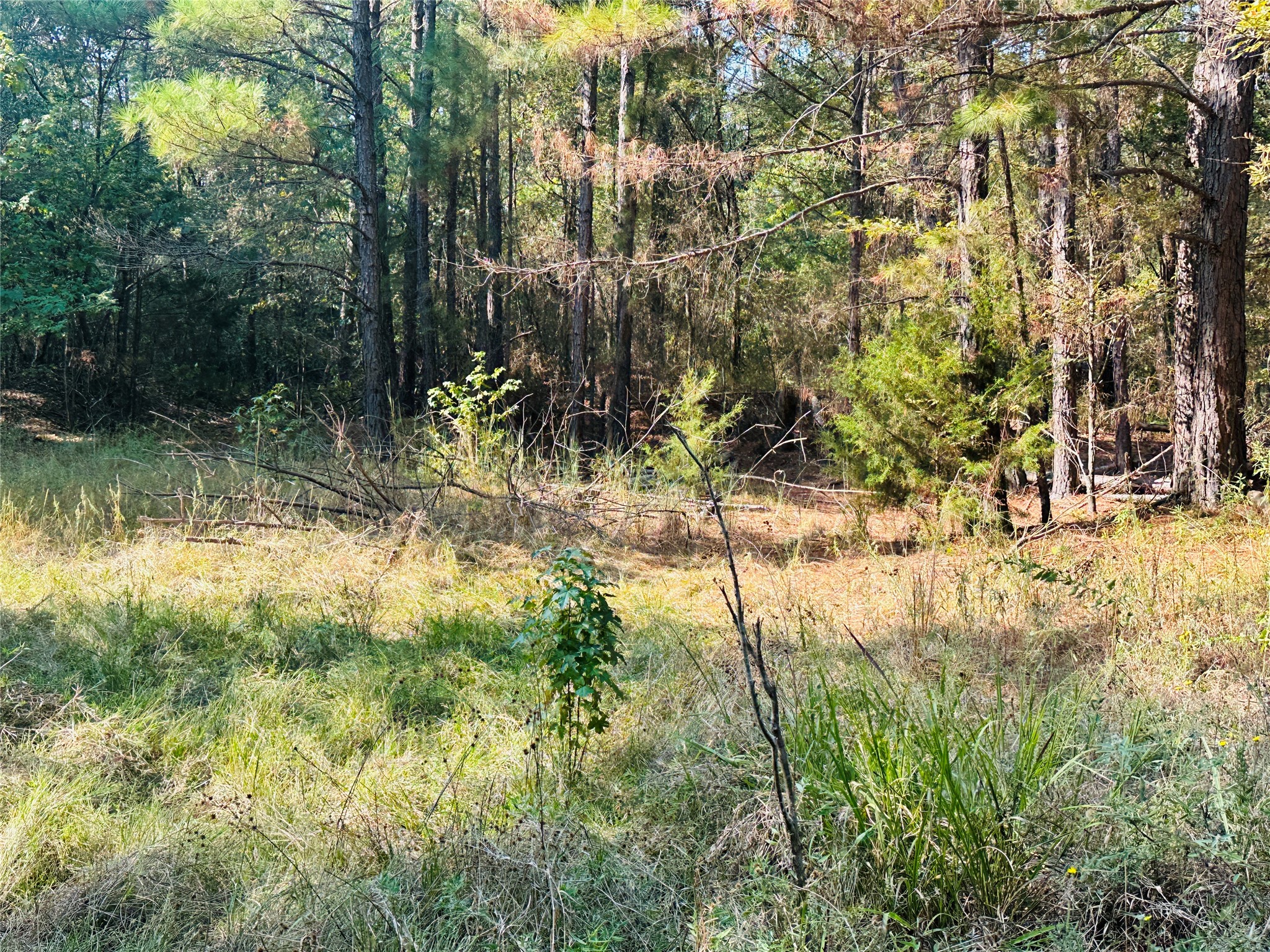 637 County Road 4420 Winnsboro TX 75494