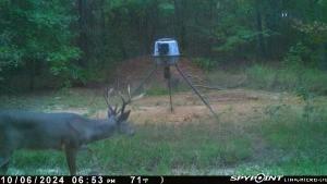 637 County Road 4420 Winnsboro TX 75494