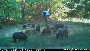 637 County Road 4420 Winnsboro TX 75494