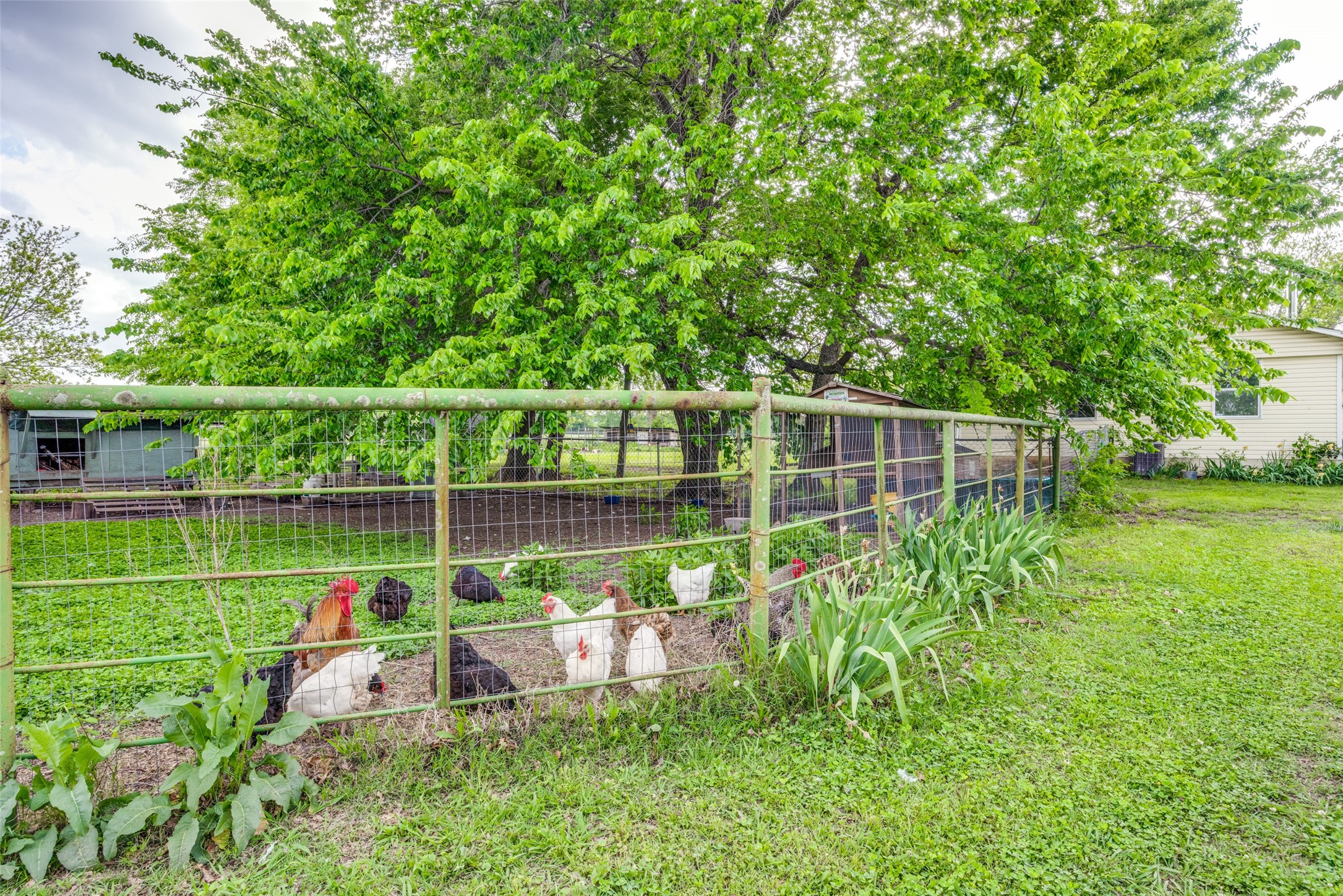 4440 Dripping Springs Road Sherman TX 75090