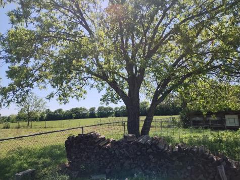 4440 Dripping Springs Road Sherman TX 75090