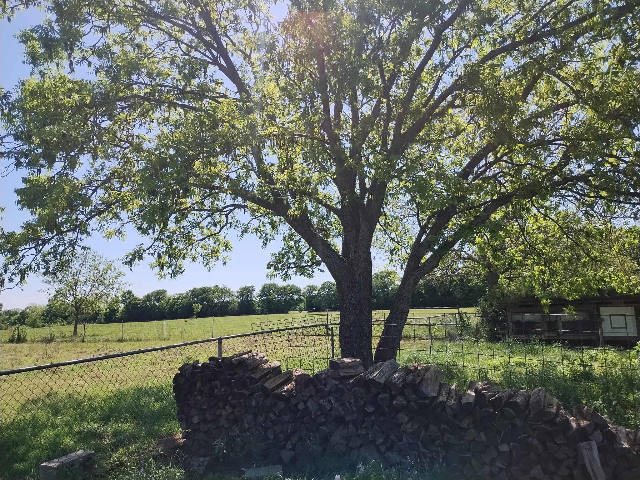 4440 Dripping Springs Road Sherman TX 75090