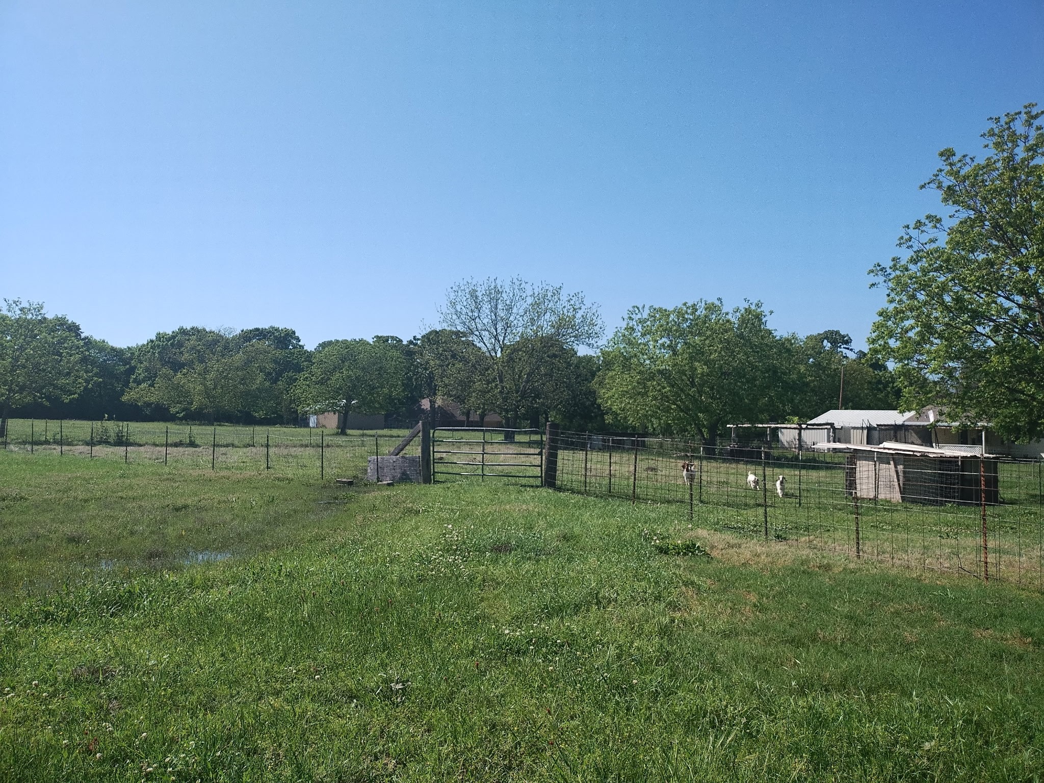 4440 Dripping Springs Road Sherman TX 75090