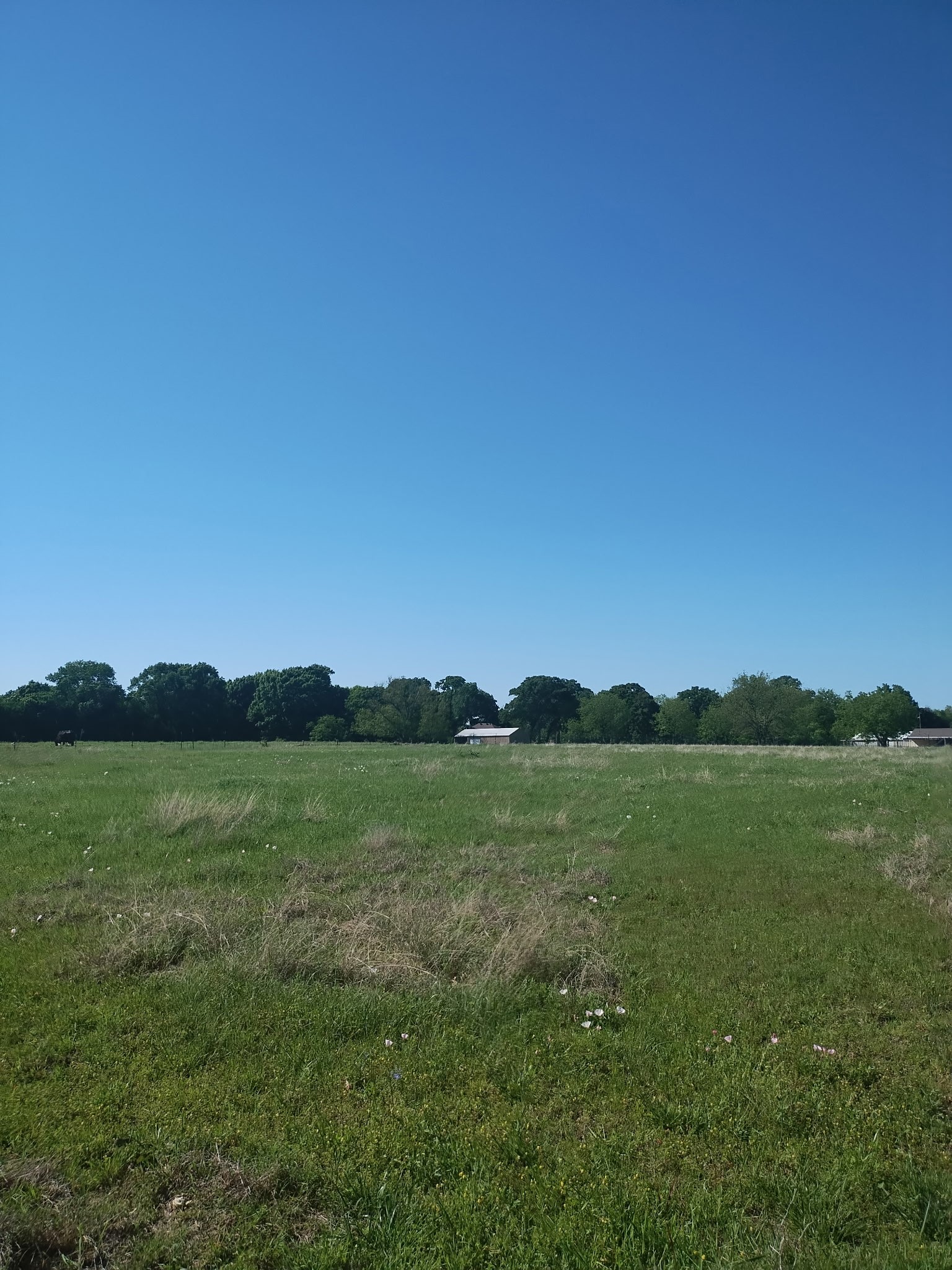 4440 Dripping Springs Road Sherman TX 75090