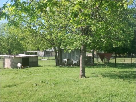 4440 Dripping Springs Road Sherman TX 75090