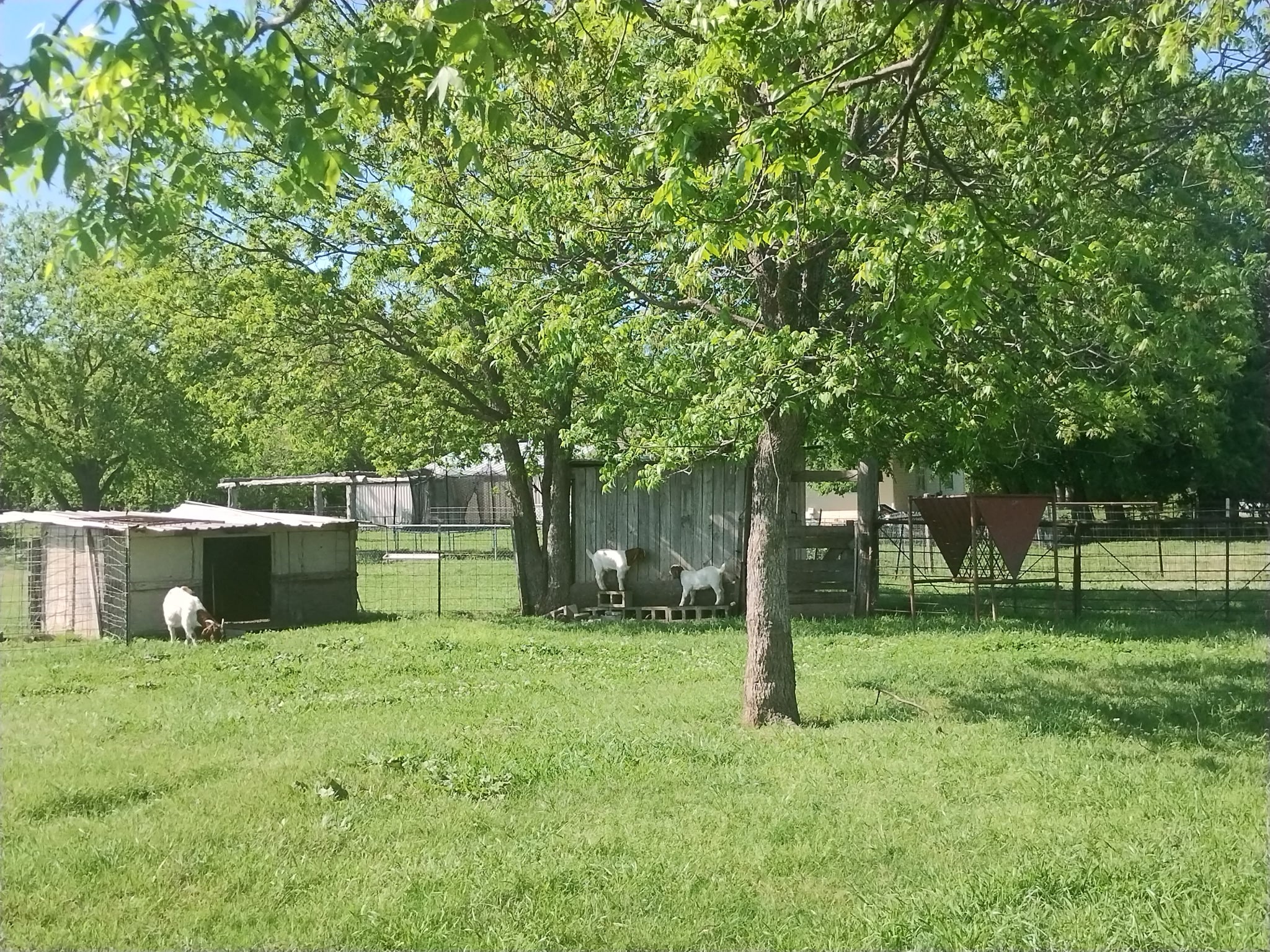 4440 Dripping Springs Road Sherman TX 75090