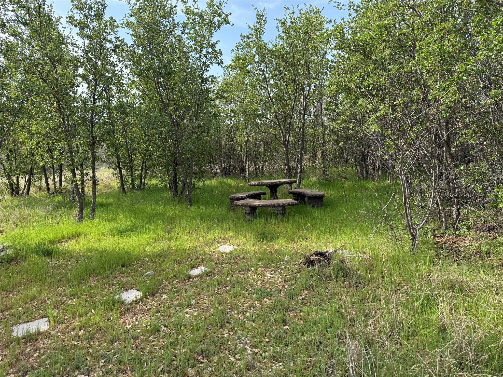 8072 Hells Gate Loop Strawn TX 76475