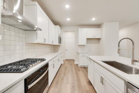 176 Ashbrook Street Little Elm TX 75068