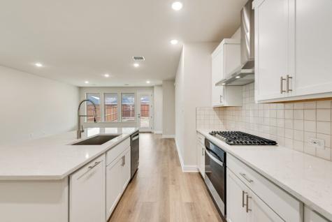 176 Ashbrook Street Little Elm TX 75068
