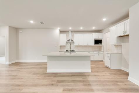 176 Ashbrook Street Little Elm TX 75068
