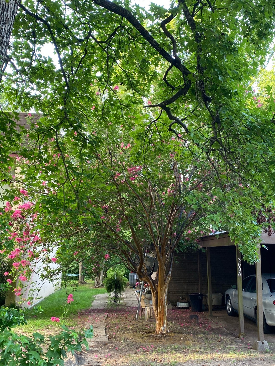 300 Saint Francis Street Marshall TX 75670