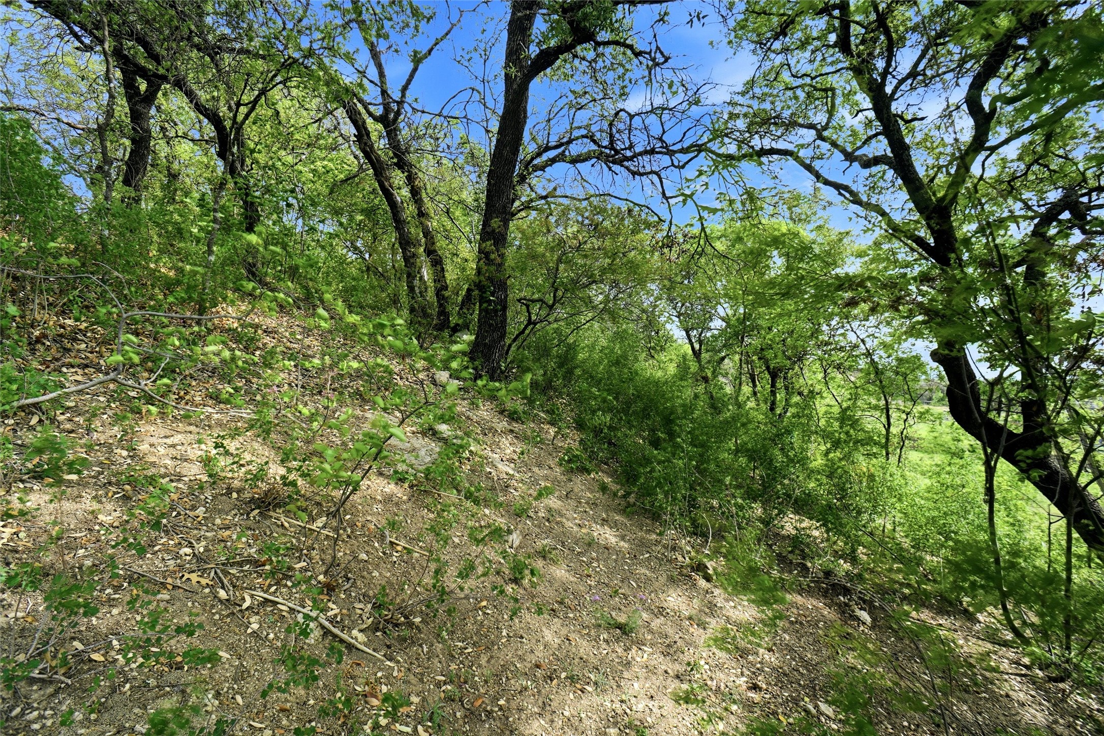 1024 Tex Lane Springtown TX 76082