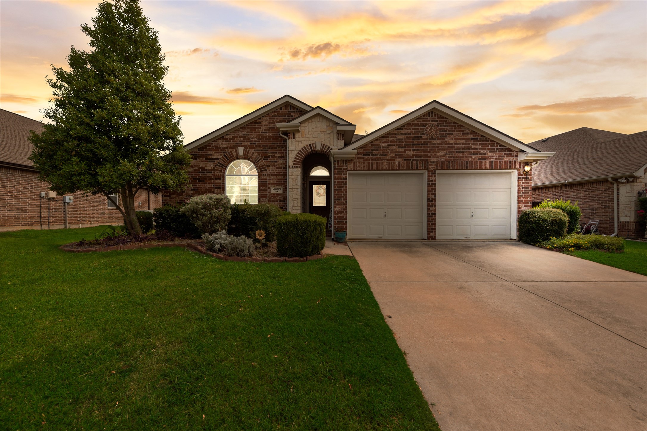 4603 Trumpet Vine Denton TX 76208