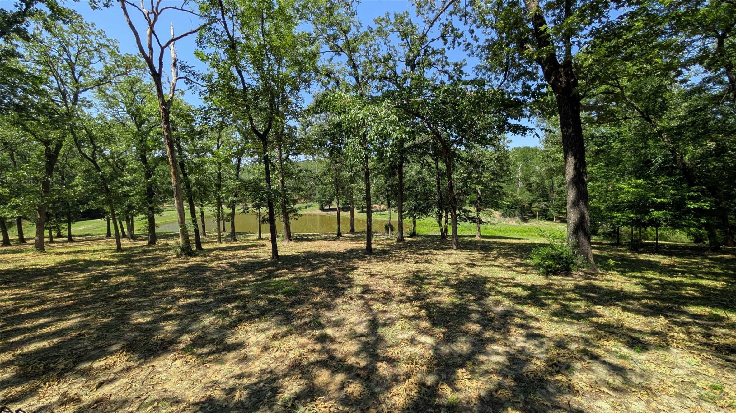 7451 County Road 1509 Athens TX 75751