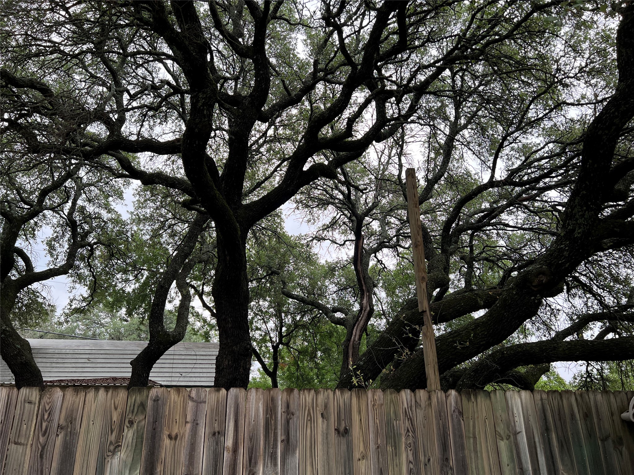 6960 Clifden Drive Brownwood TX 76801