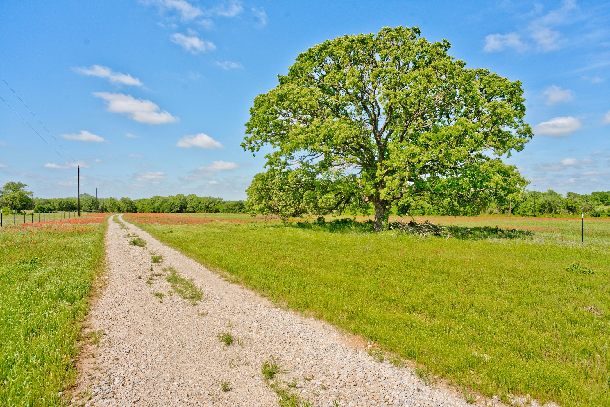 1531 County Road 1480 Chico TX 76431