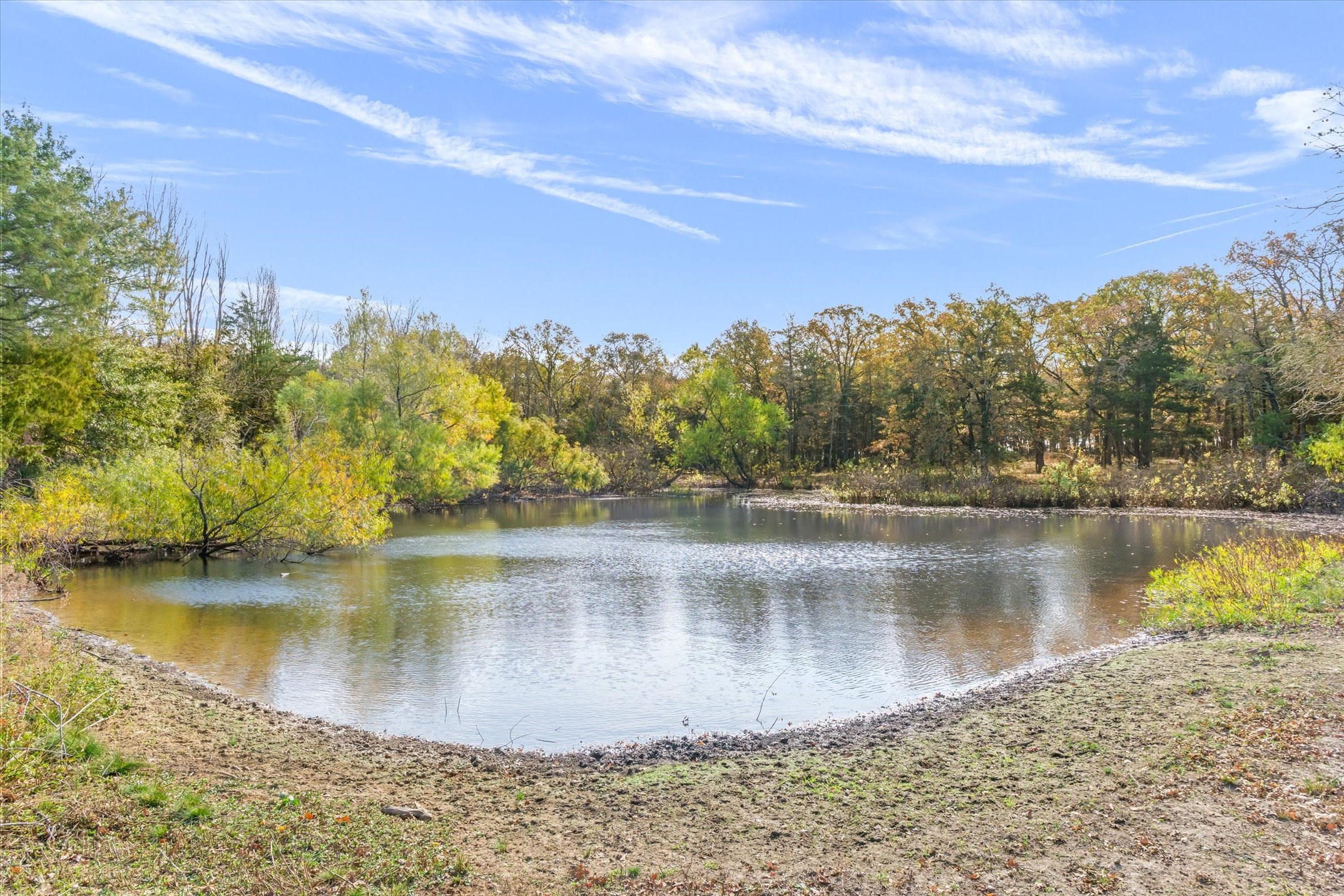 4969 Vz County Road 3502 Wills Point TX 75169