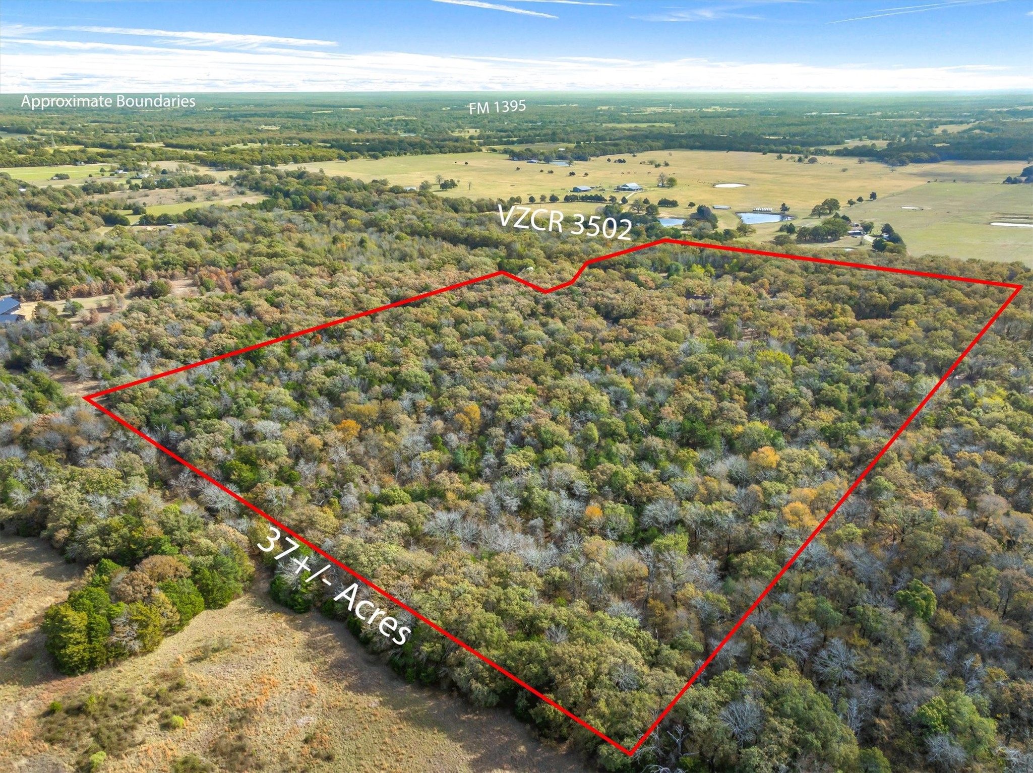 4969 Vz County Road 3502 Wills Point TX 75169