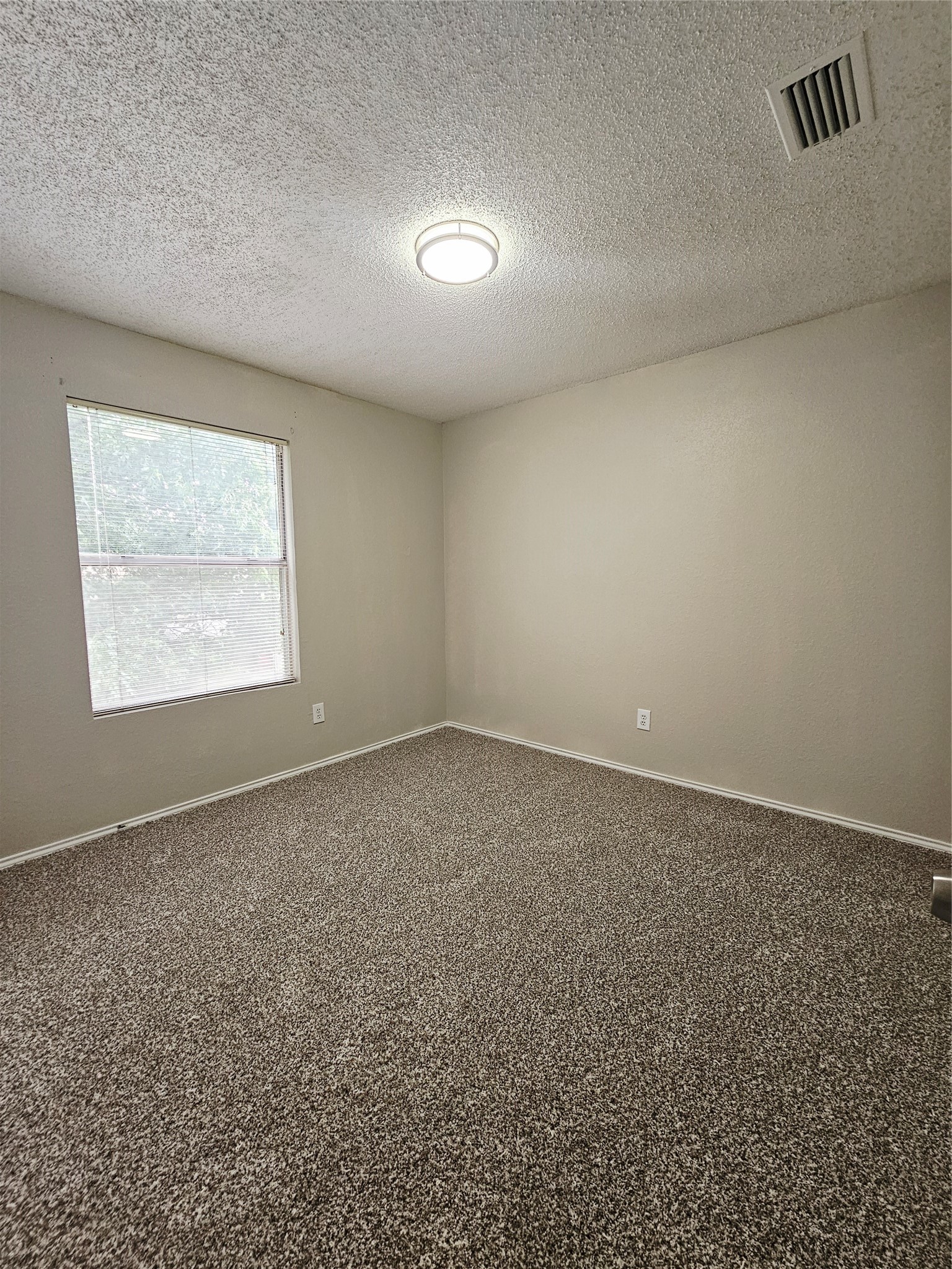 3921 Huckleberry Drive Fort Worth TX 76137