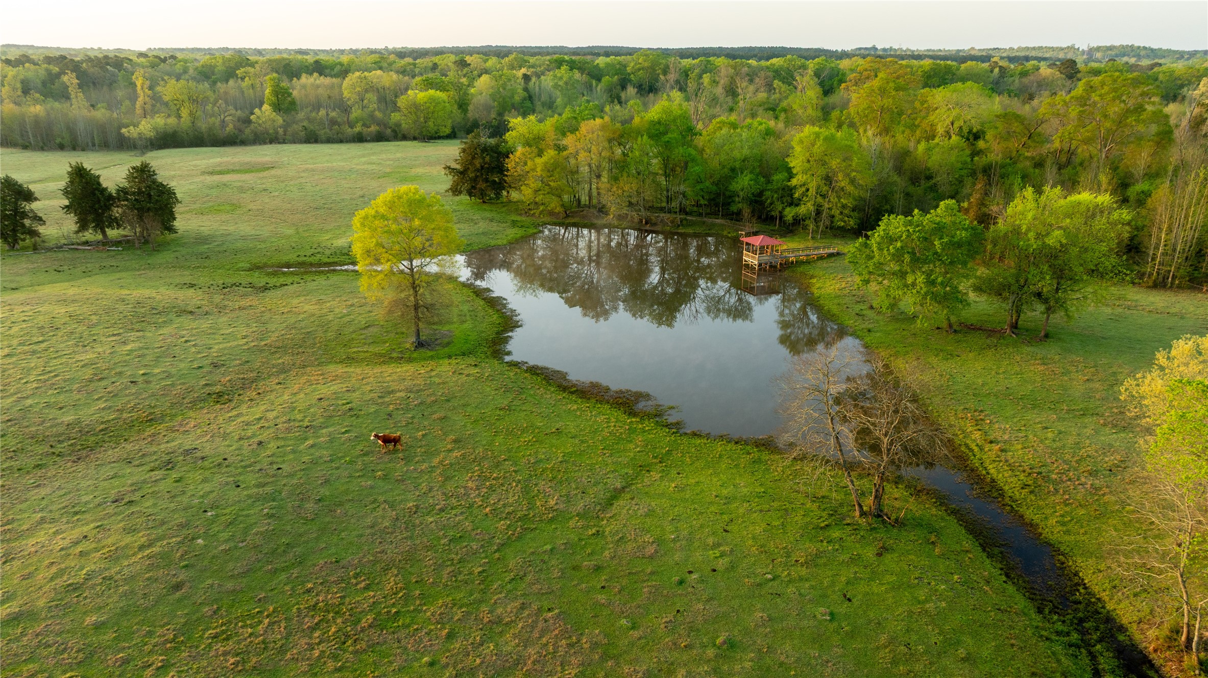 1441 Coffeeville Road Jefferson TX 75657