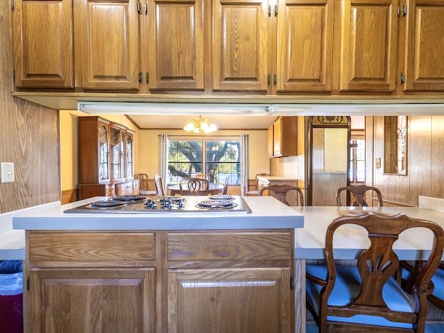 4713 Fox Hollow Road Possum Kingdom Lake TX 76450