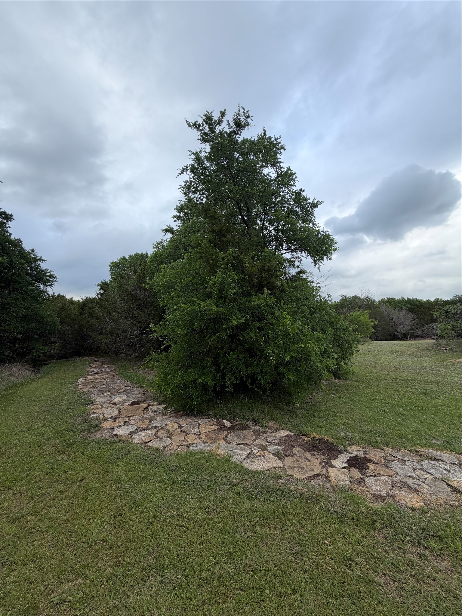 8816 Cleburne Highway Granbury TX 76049