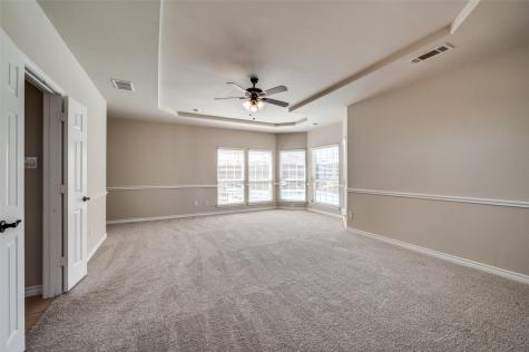 10391 Castello Court Frisco TX 75035