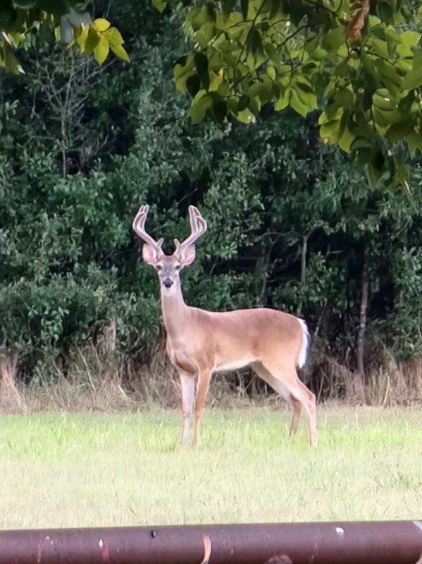 433 Wilderness Trail Royse City TX 75189