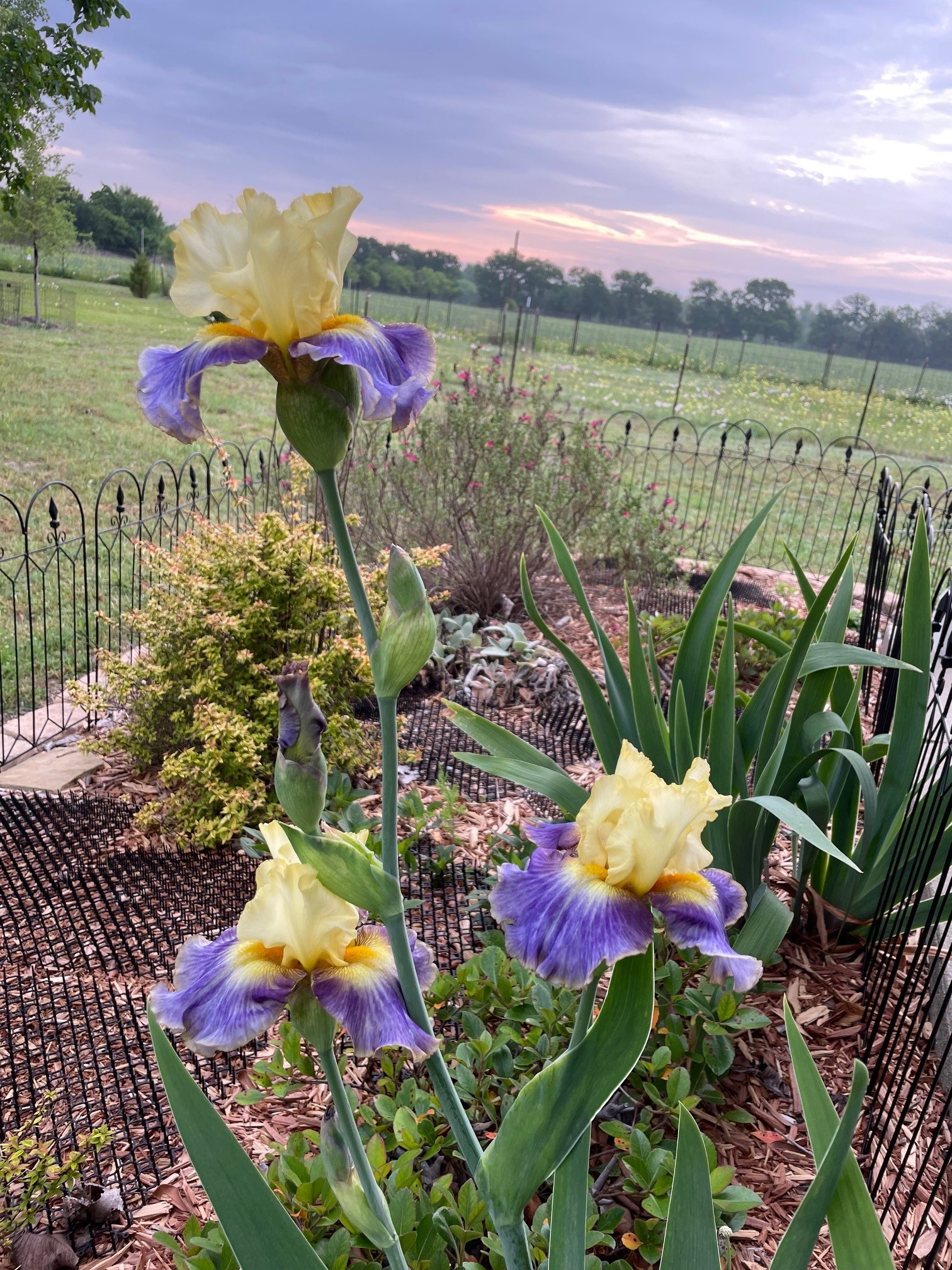7844 County Road 502 Blue Ridge TX 75424