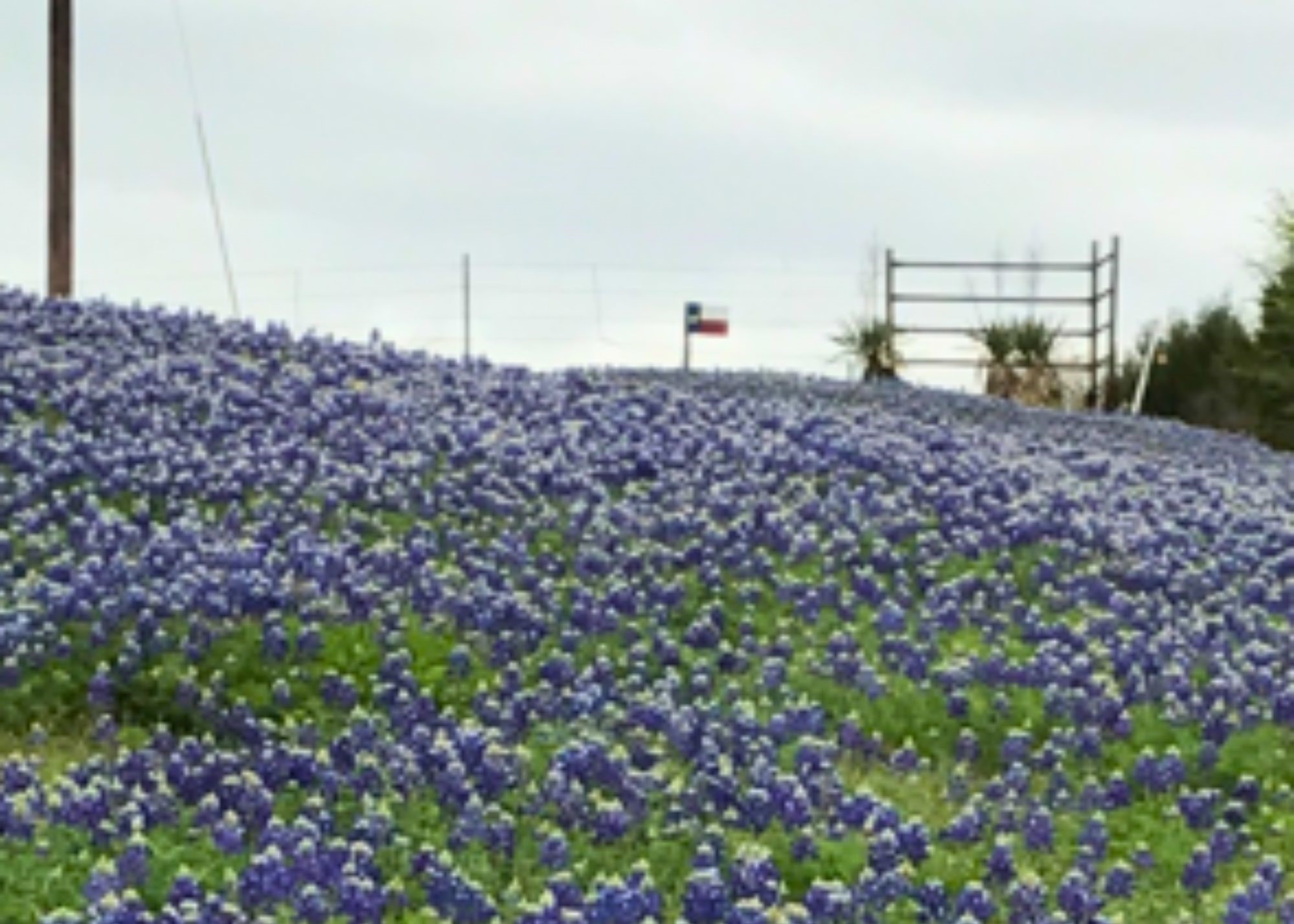 637 Snap Road Sherman TX 75090
