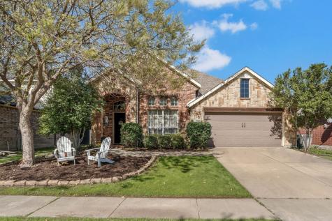 10029 Slick Rock Trail Frisco TX 75033